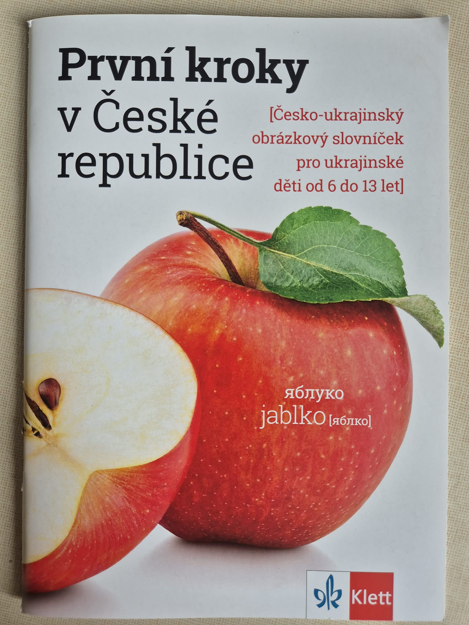 První kroky v České republice