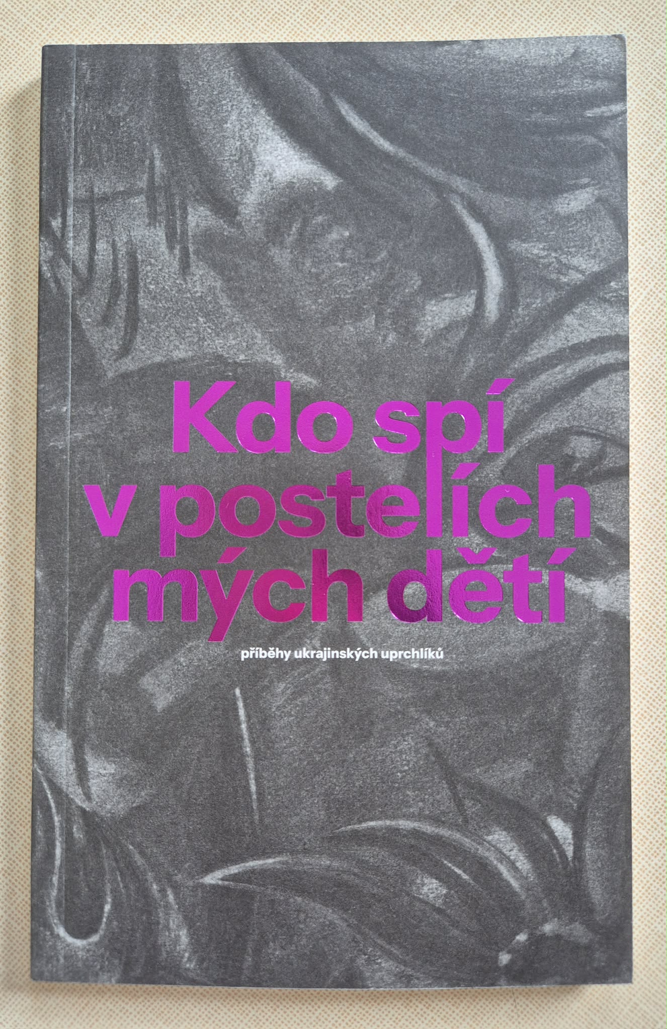 Kdo spí v postelích mých dětí, kolektiv autorů