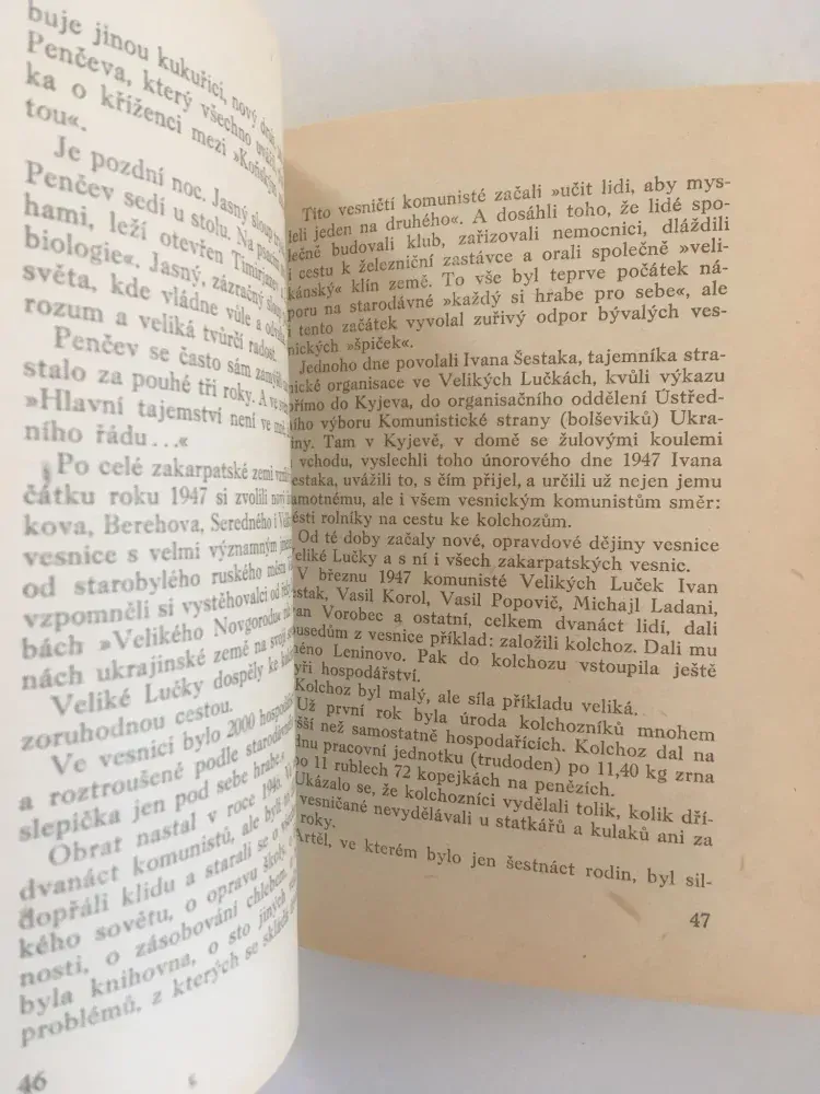 V Zakarpatské Ukrajině, Vadim Safonov