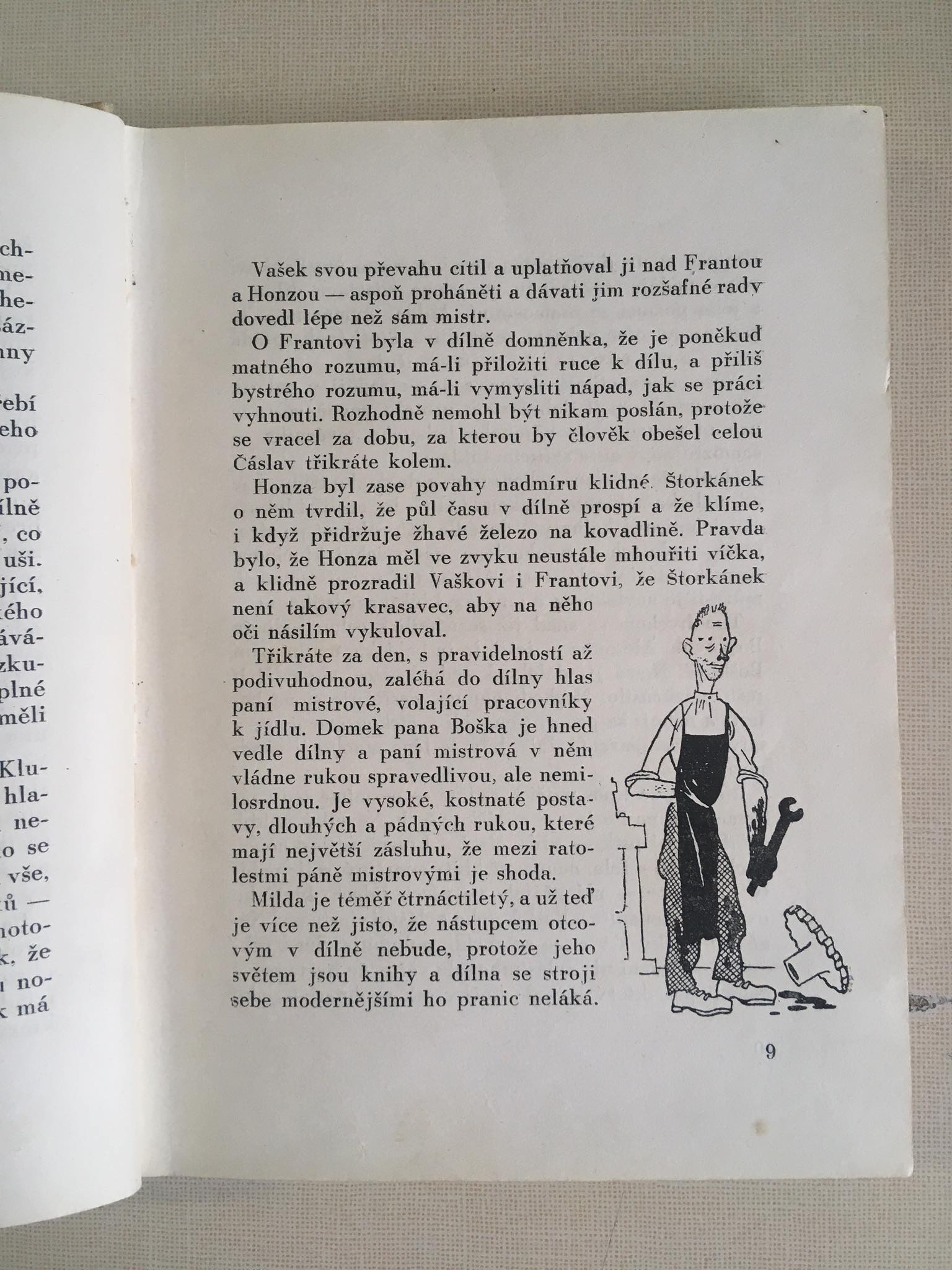 Tygr pana Boška, Vítězslav Šmejc