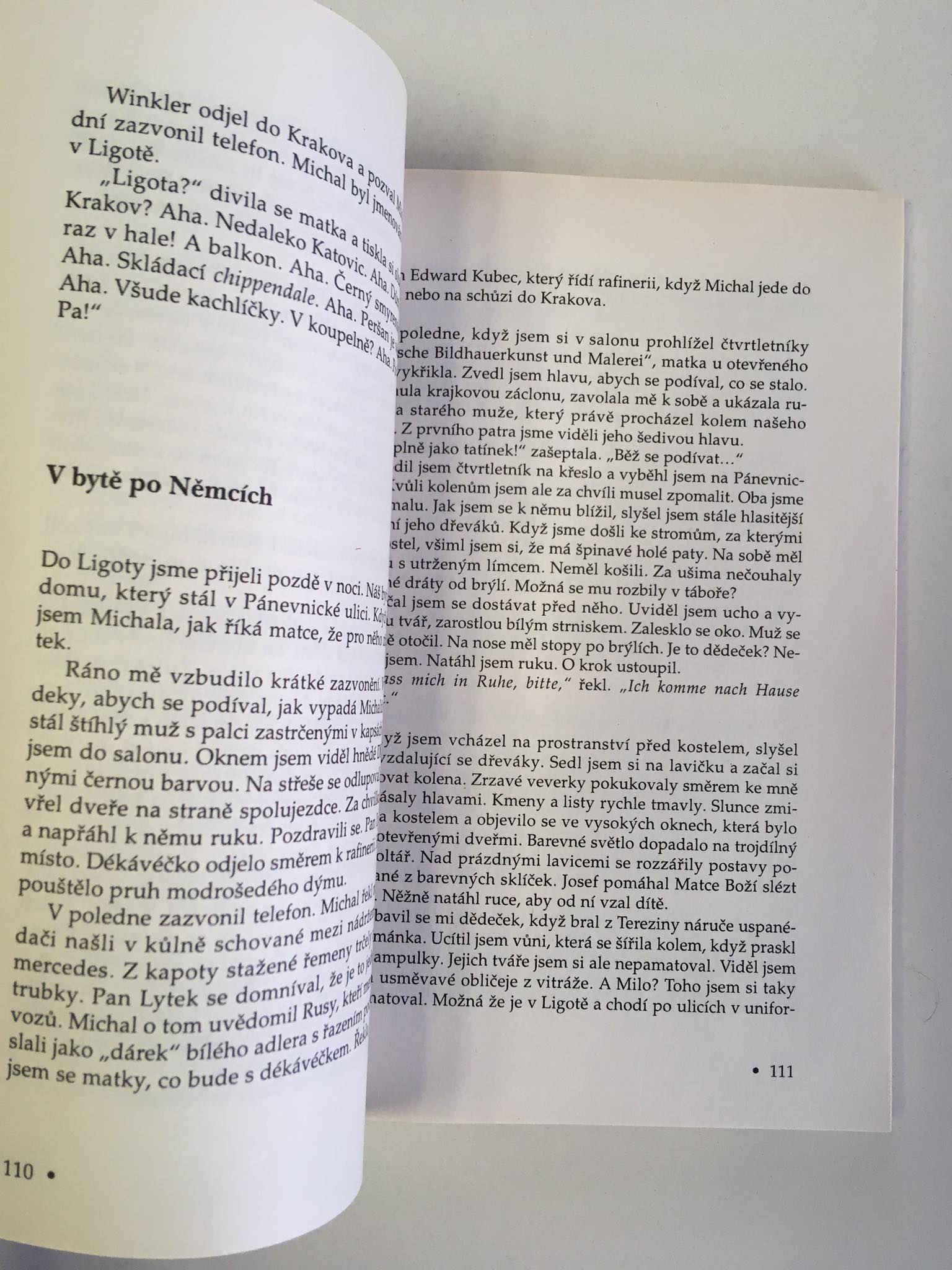 Kůň Pána Boha, Wilhelm Dichter