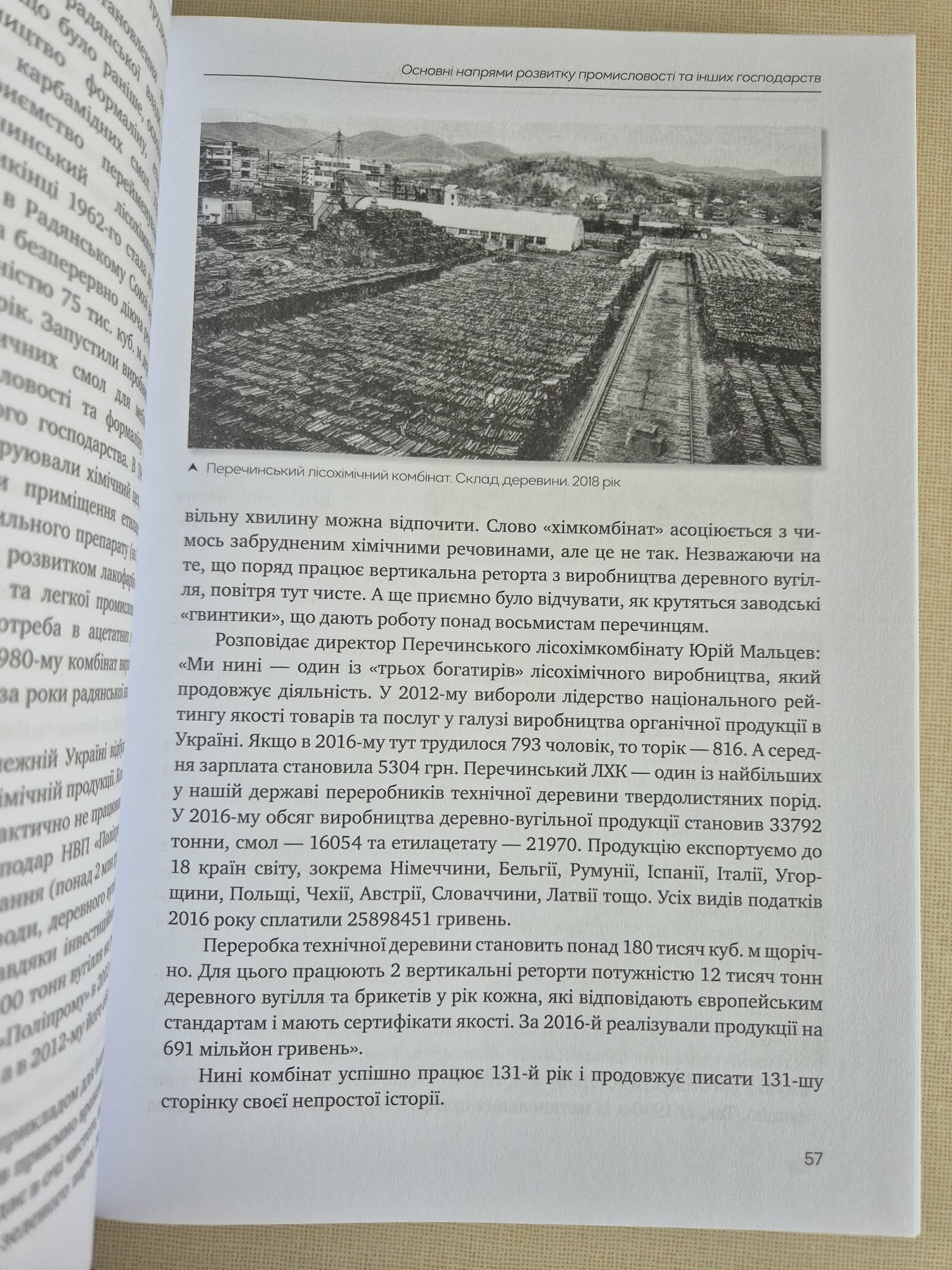 Československé období v existenci Podkarpatské Rusi, J.Turjanycja