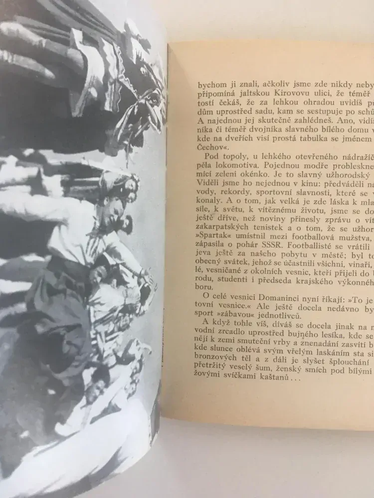 V Zakarpatské Ukrajině, Vadim Safonov