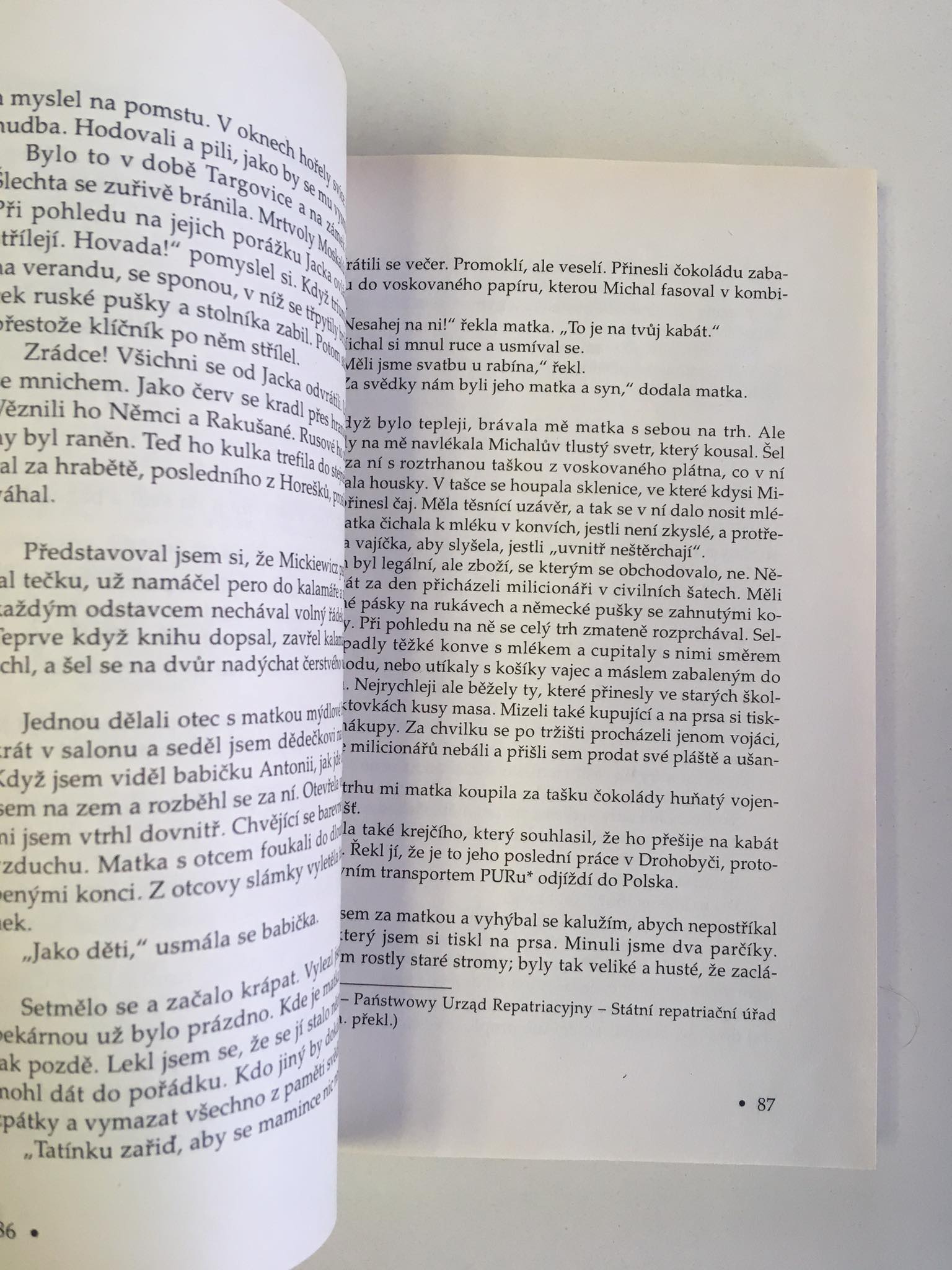 Kůň Pána Boha, Wilhelm Dichter