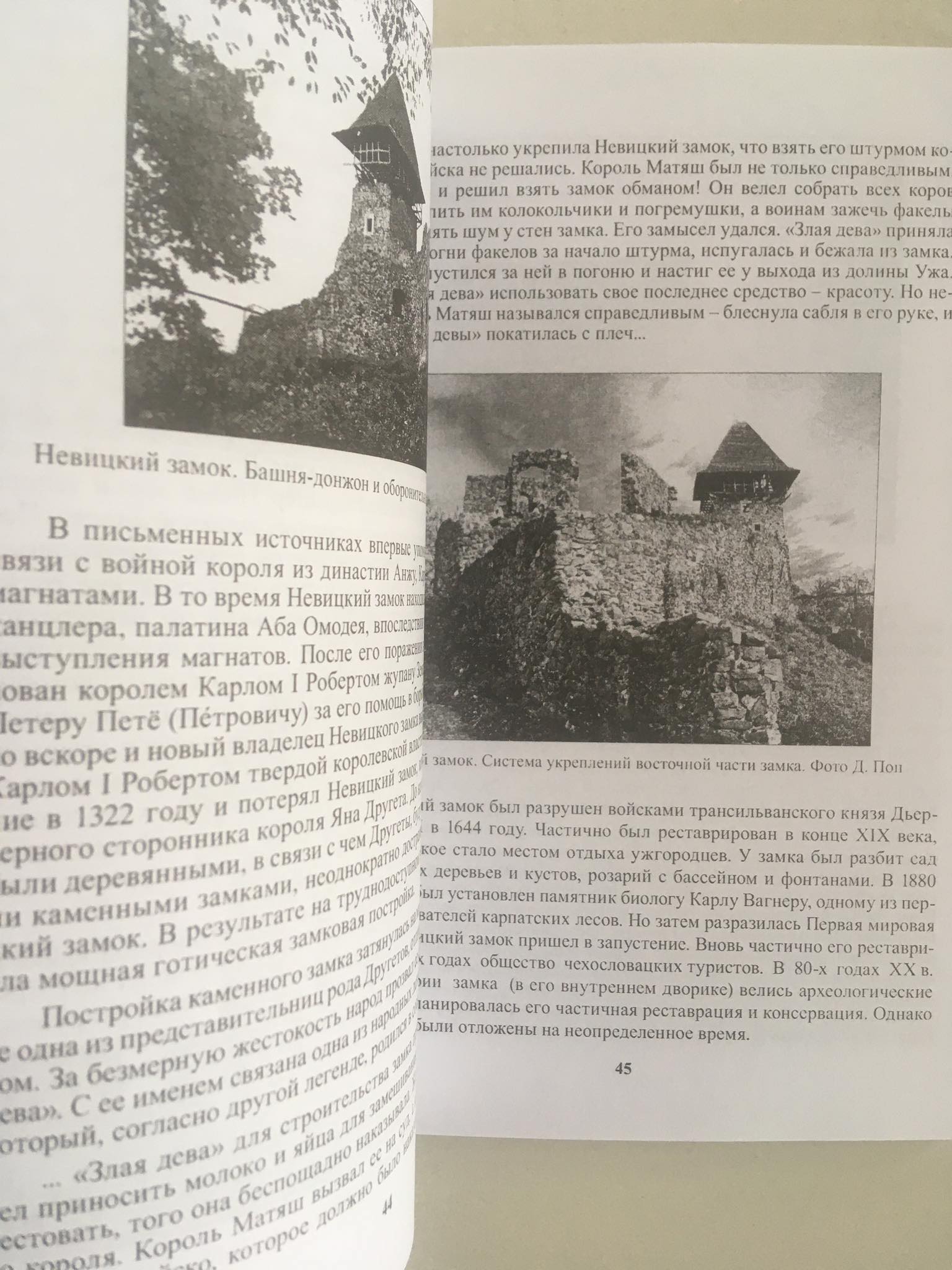 Putování po architektonických památkách Podkarpatské Rusi, D.Pop, I.Pop