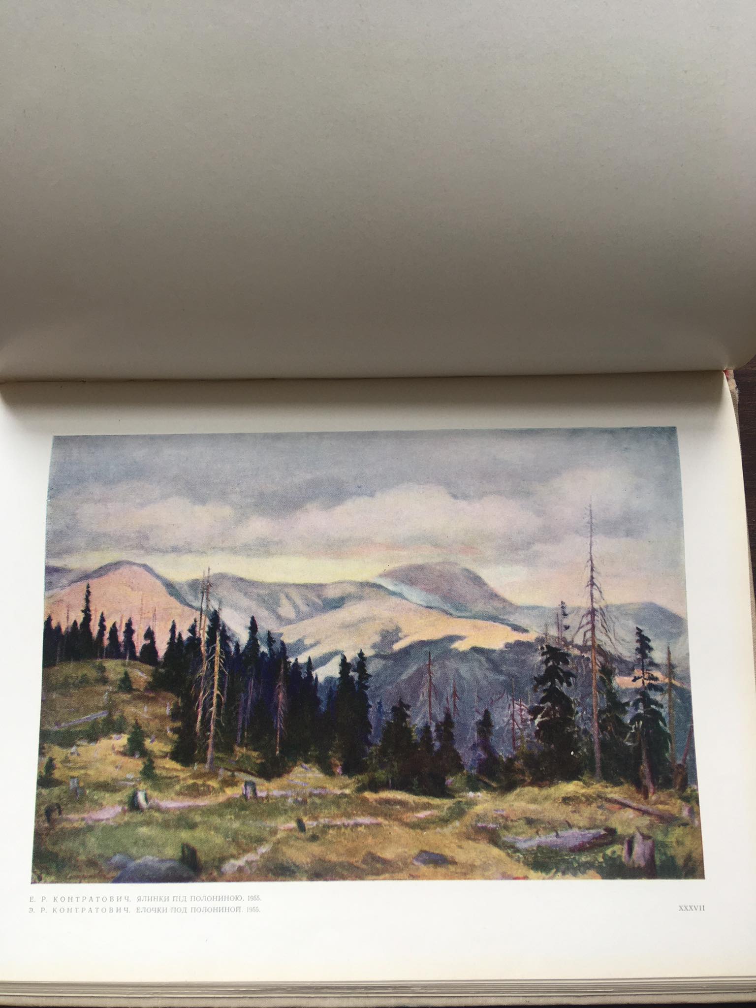 Umělci Zakarpatí, L.Z.Shandor