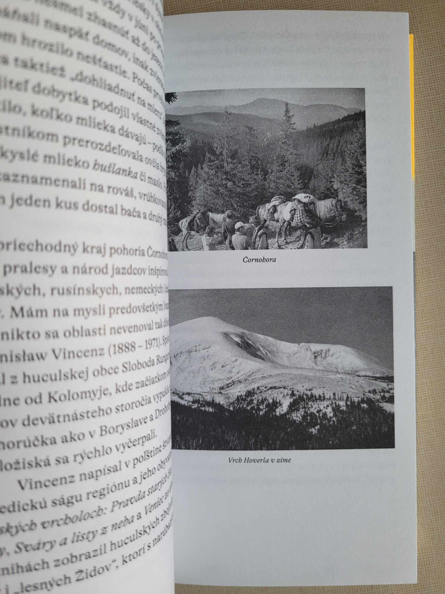 Halič - Putovanie po stratenom svete, Martin Pollack